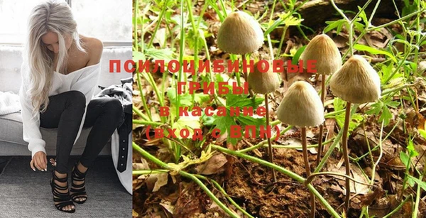 МДПВ Зерноград