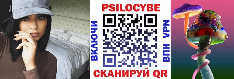 Купить закладки  Пугачёв  Псилоцибиновые грибы MAGIC MUSHROOMS 